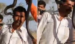 蛇吻在线观看免费观看,免费在线观看，惊悚悬疑等你揭秘