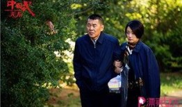 陈建斌被爆料了吗视频,真相究竟如何？